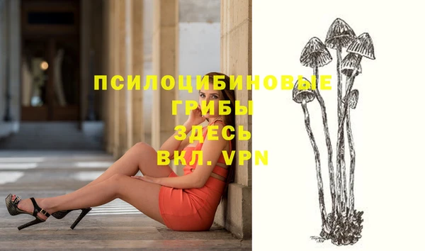 гидра Наволоки