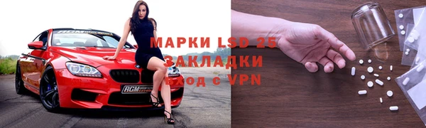 гидра Наволоки