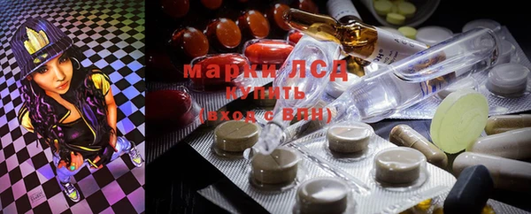 гидра Наволоки